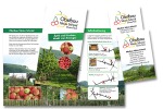 Obstbau Schmid Flyer, Banner und VK